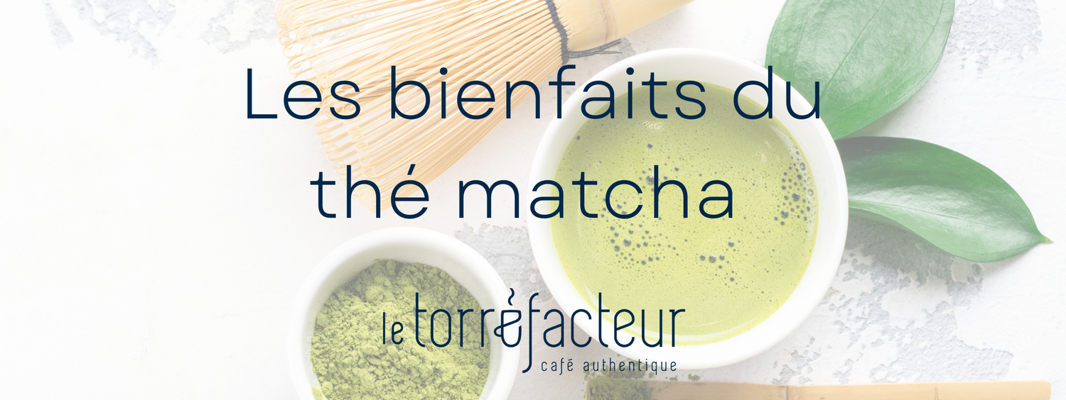 Les bienfaits du thé matcha que vous devez connaître