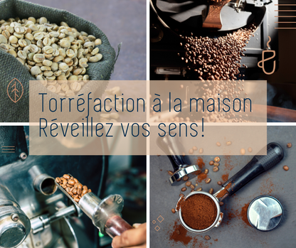 Torréfaction à la maison, réveillez vos sens! Niveau 1