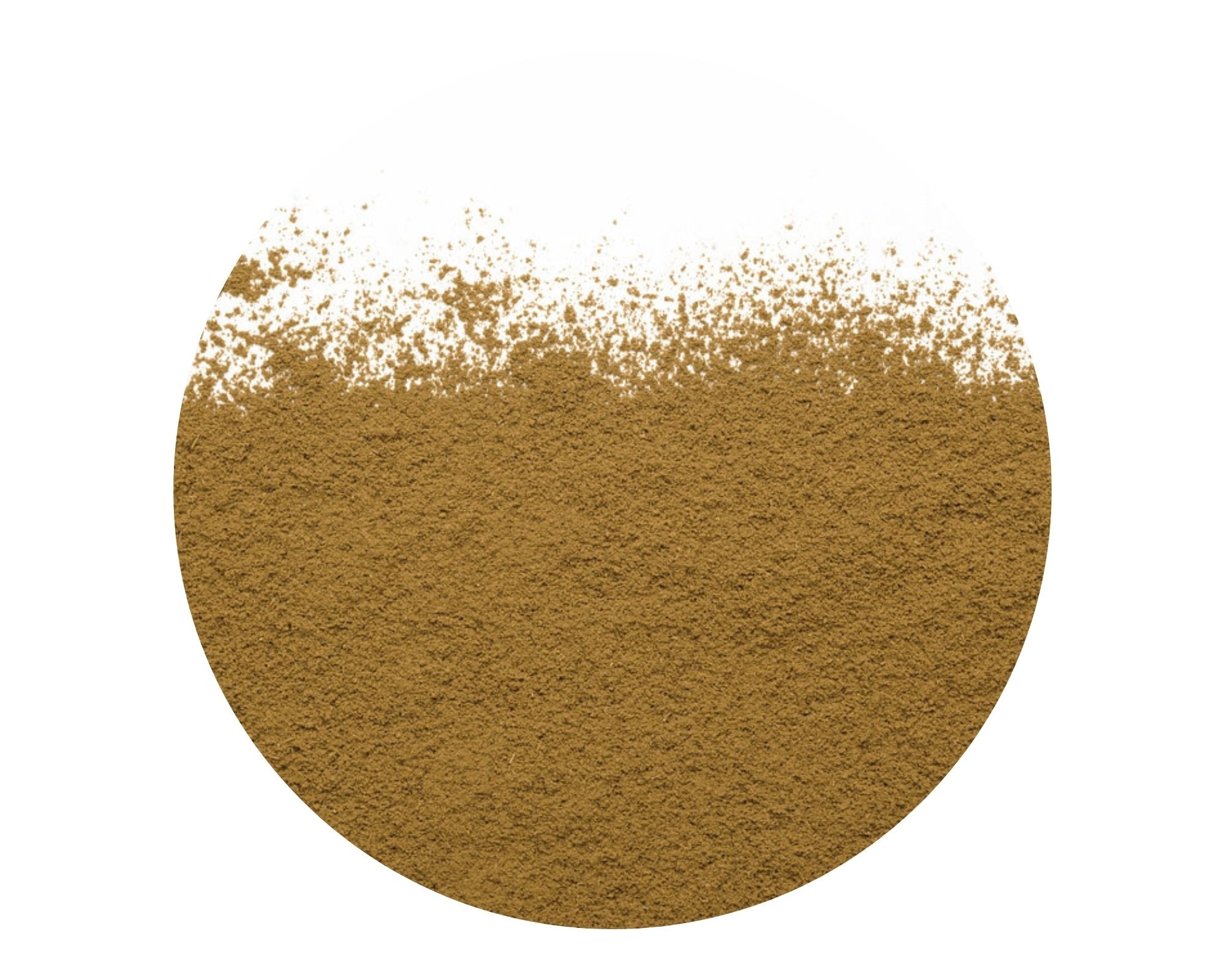 Thé vert grillé Hojicha Latté